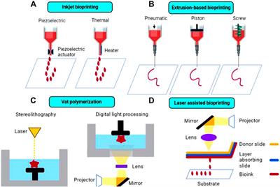 3D Bioprinted Implants for Cartilage Repair in Intervertebral Discs and Knee Menisci